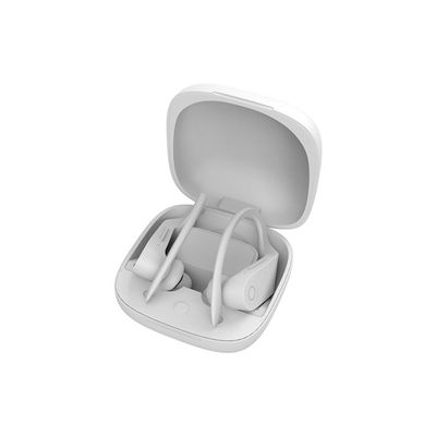 B10 mette in mostra Bluetooth senza fili Earbuds con il caricatore senza fili